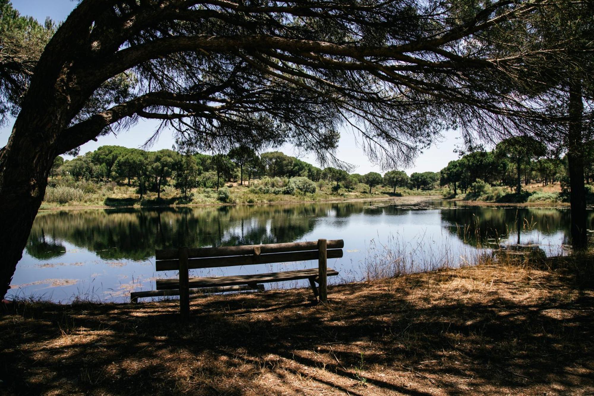 Herdade De Montalvo - Comporta Exterior photo
