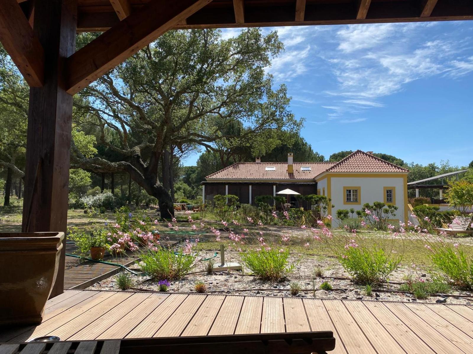 Herdade De Montalvo - Comporta Exterior photo