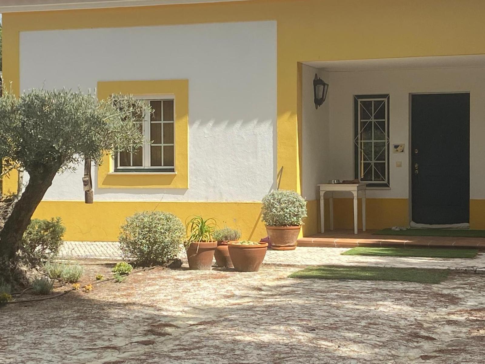 Herdade De Montalvo - Comporta Exterior photo